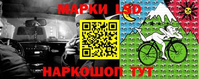 прущие грибы Партизанск