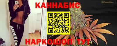 прущие грибы Партизанск